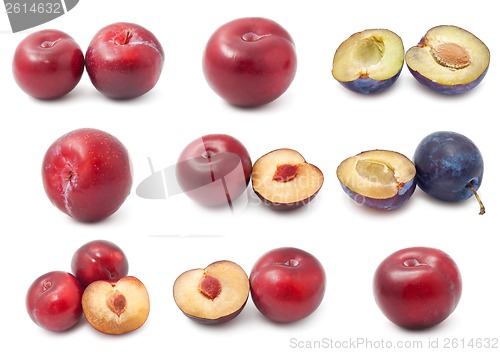 Image of Plum