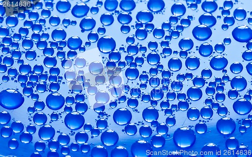 Image of Water drops