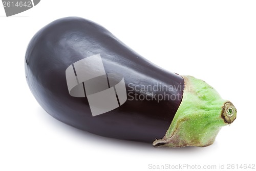 Image of Aubergine