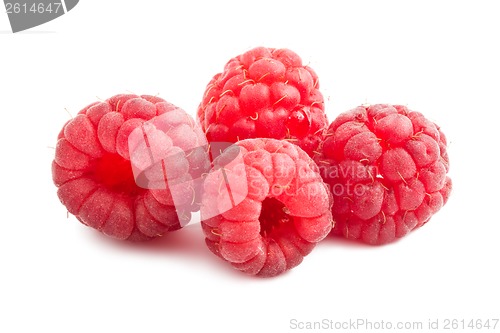 Image of Fresh raspberries