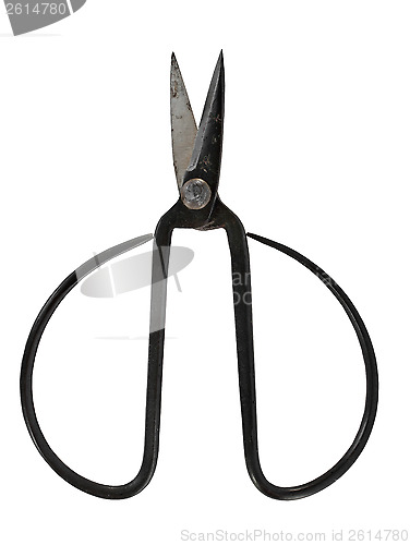 Image of vintage japanese pruning scissors