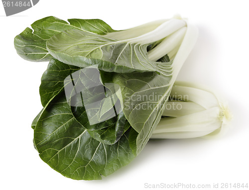 Image of Bok choi high angle