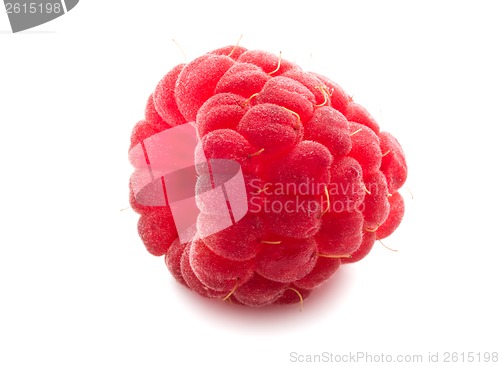 Image of Fresh raspberry