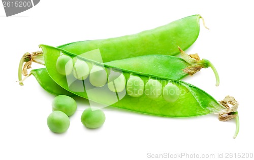 Image of Pea