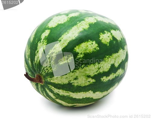 Image of Watermelon