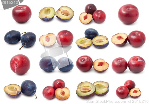 Image of Plum