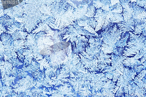 Image of Frost pattern