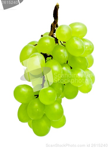Image of Grapes