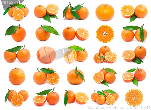 Image of Mandarins