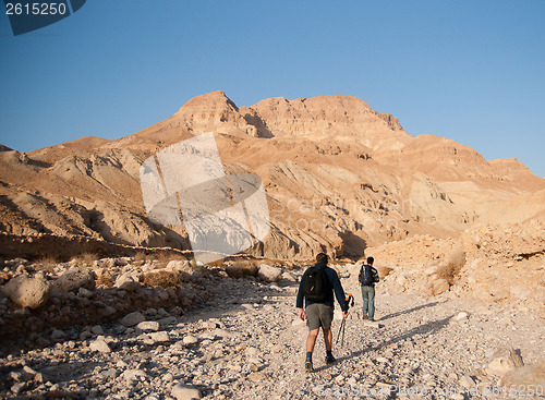 Image of Tourists hiking in dead sea mountains