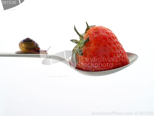 Image of Strawberry