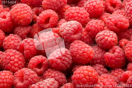 Image of Raspberries