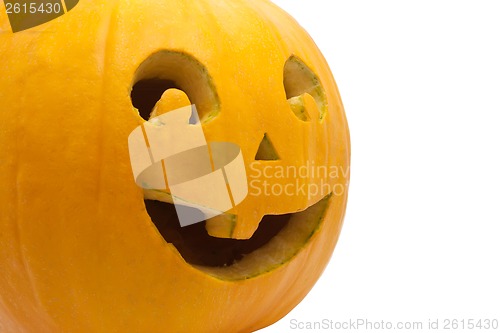 Image of Halloween pumpkin