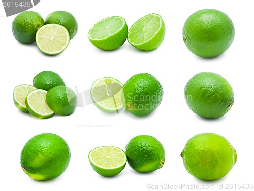 Image of Lime