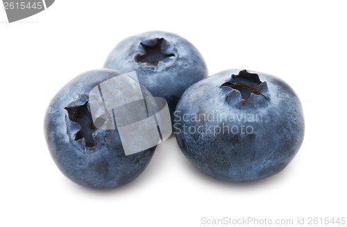 Image of Blueberry