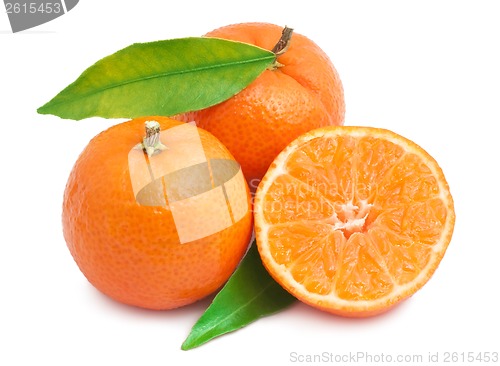 Image of Tangerines