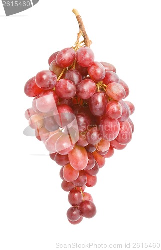 Image of Grapes