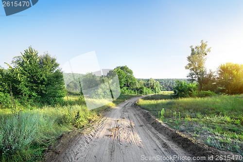 Image of Road and trees