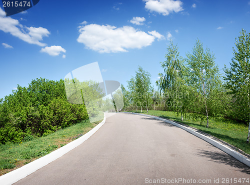 Image of Asphalted road among birches