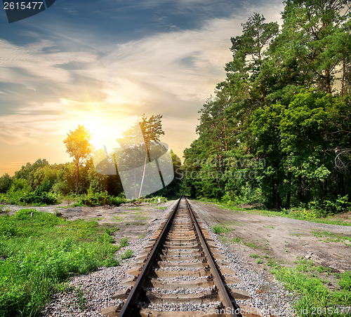 Image of Railroad through the forest