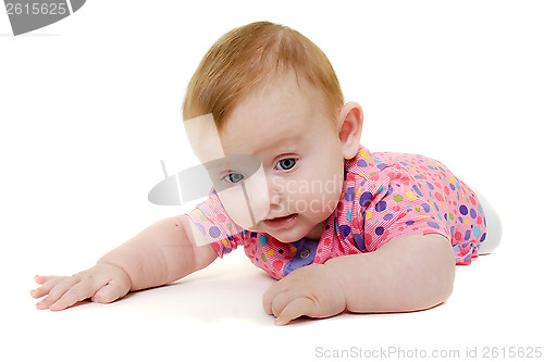 Image of Baby is playing on white background.