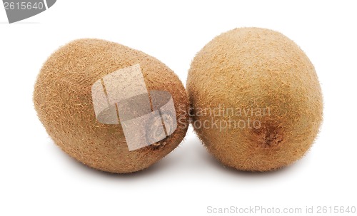 Image of Kiwi