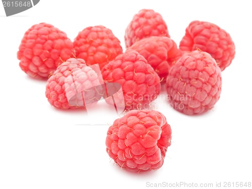 Image of Fresh raspberries