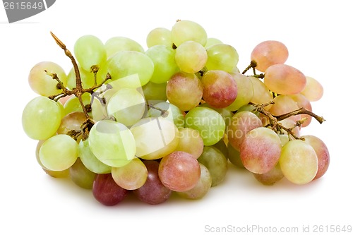 Image of Grapes