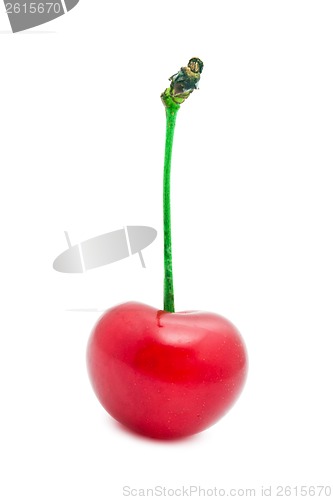 Image of Red cherry