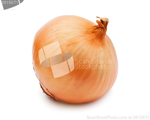 Image of Onion