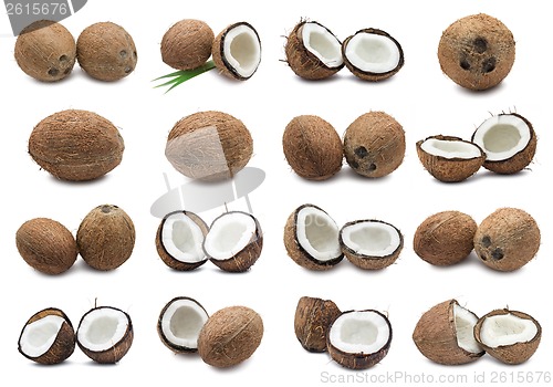 Image of Coconuts