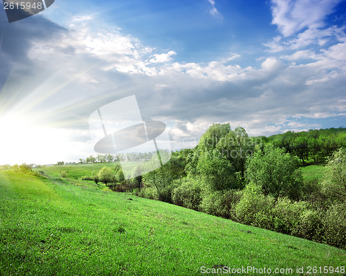 Image of Sunbeams over the forest