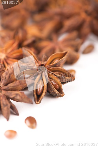 Image of Anise isolated