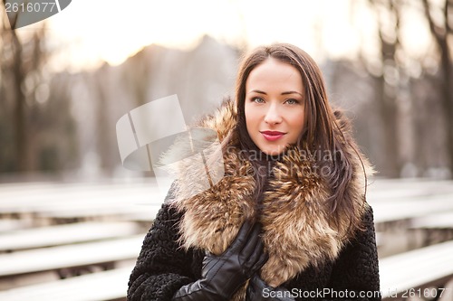 Image of Walking in the park