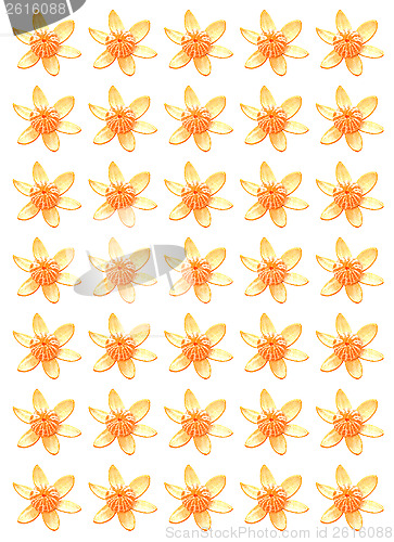 Image of Oranges