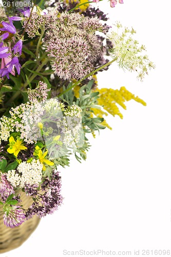 Image of Bouquet of medicinal herbs