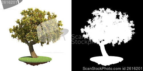 Image of Green Tree Isolated on White Background.