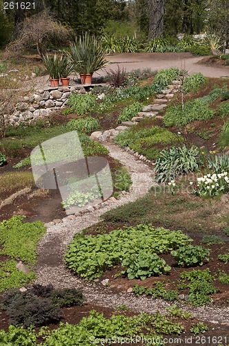 Image of Botanical garden