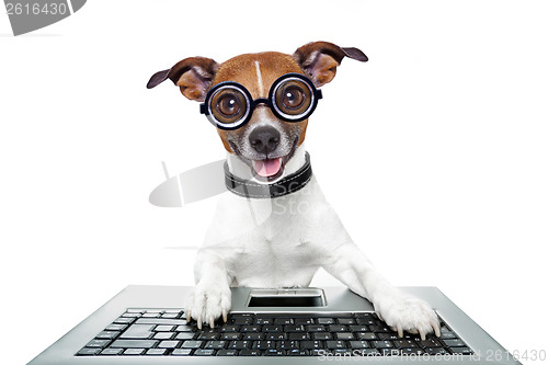 Image of silly computer dog