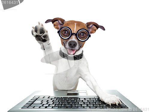 Image of silly computer dog