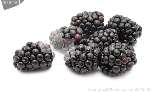 Image of Blackberry