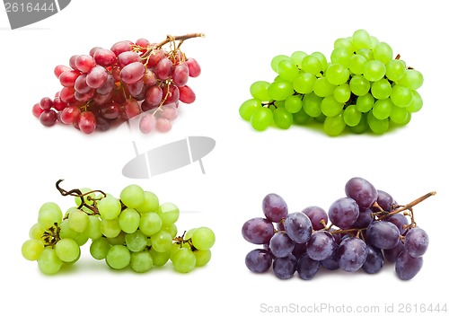 Image of Grapes