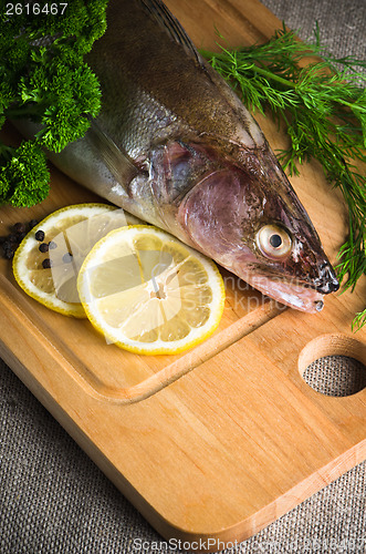 Image of Pike perch on a wooden kitchen board, it is isolated on white