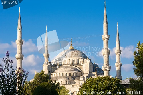 Image of Blue Mosque
