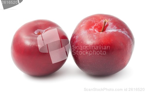 Image of Plums