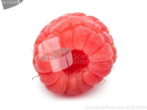 Image of Fresh raspberry