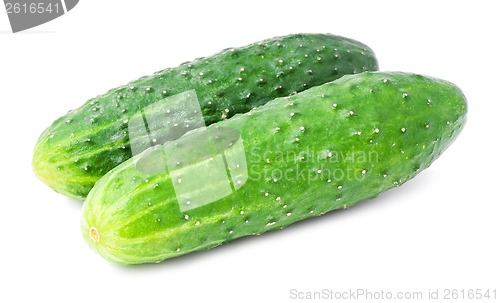 Image of Fresh cucumber