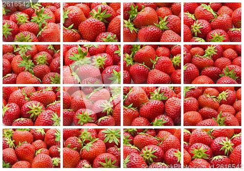 Image of Strawberry