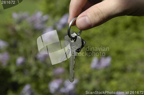 Image of Keys