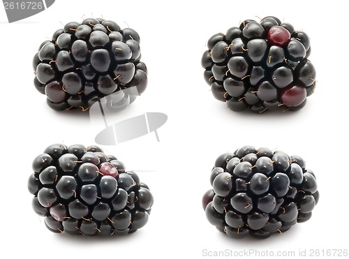 Image of Blackberry
